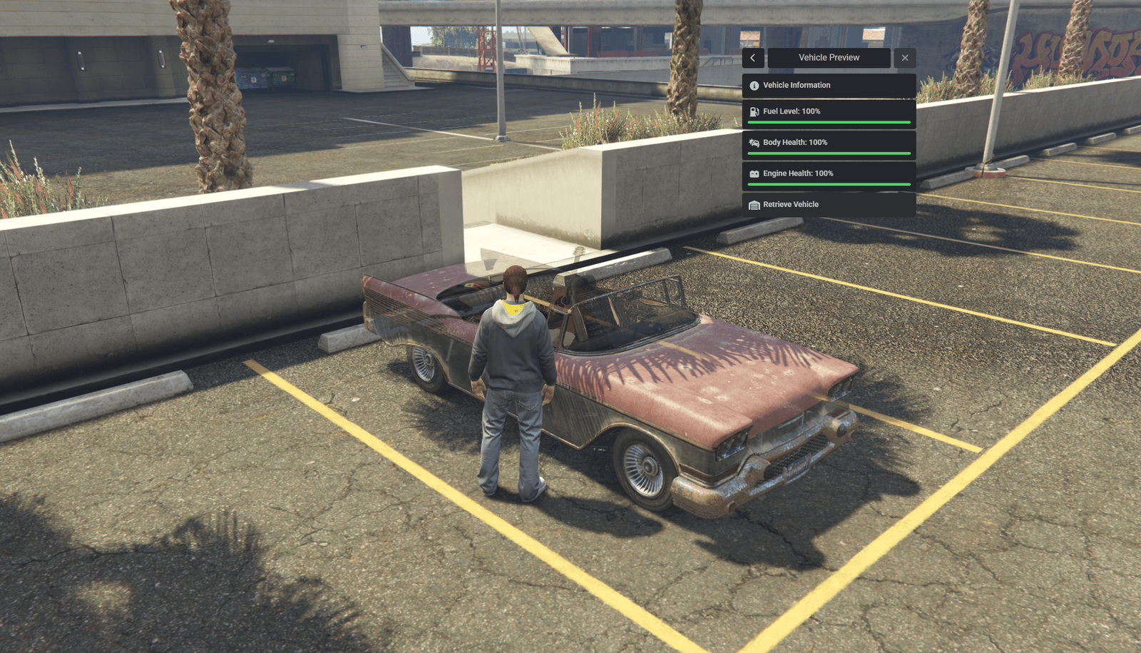 Vehicle Preview